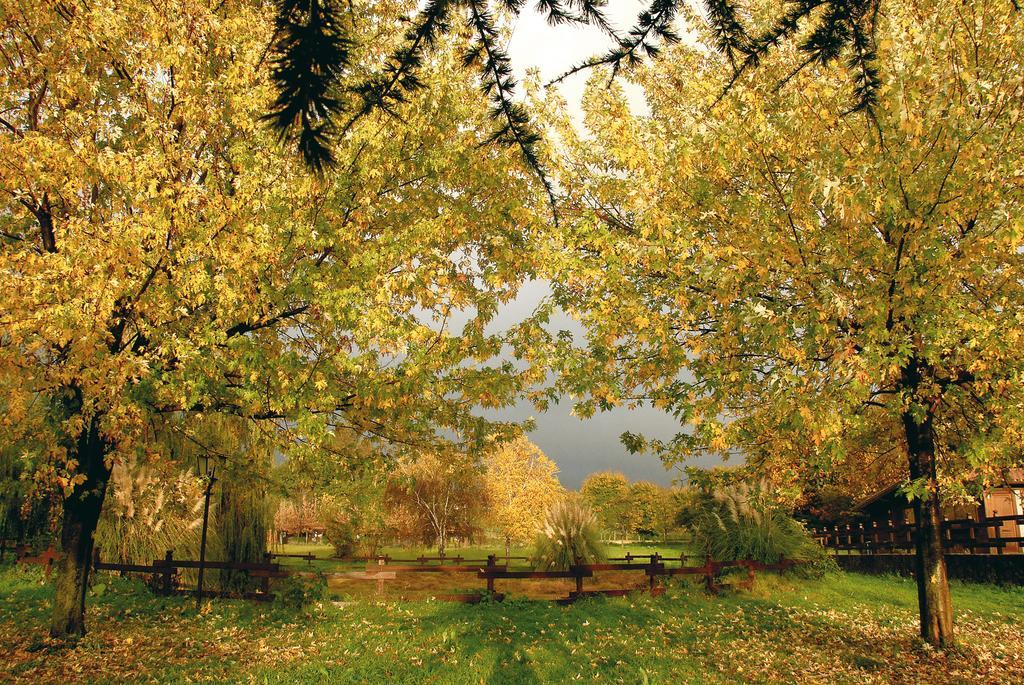 Agriturismo Monte Due Torri Genzano di Roma Zewnętrze zdjęcie